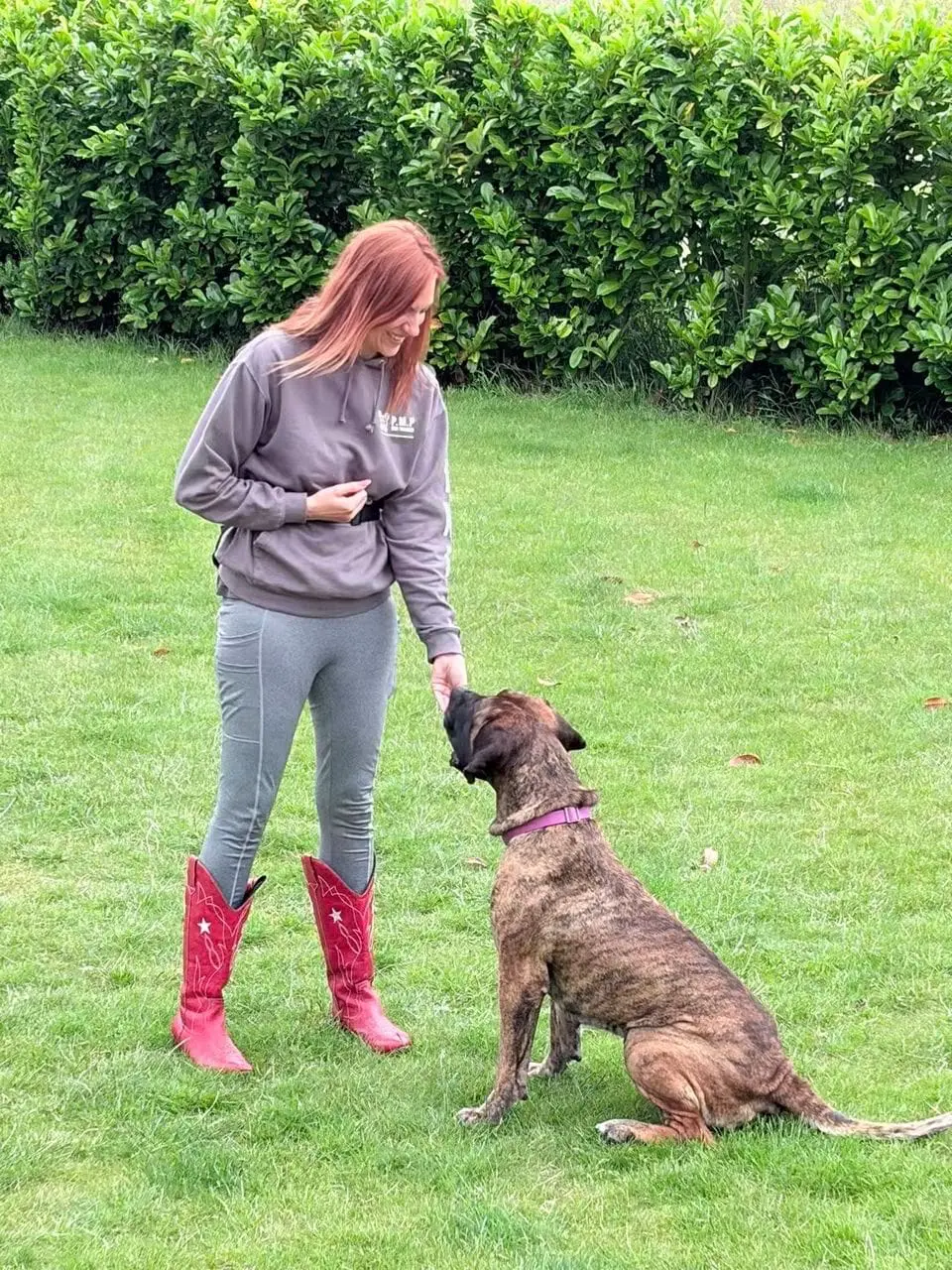 Dog trainer working closely with a dog beside a brick wall