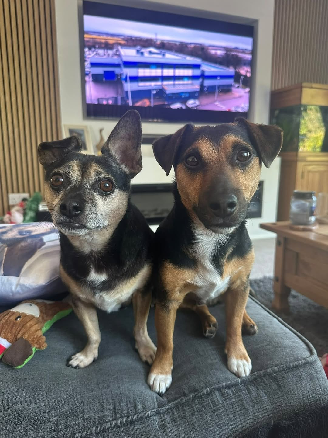 Ralf and Milo