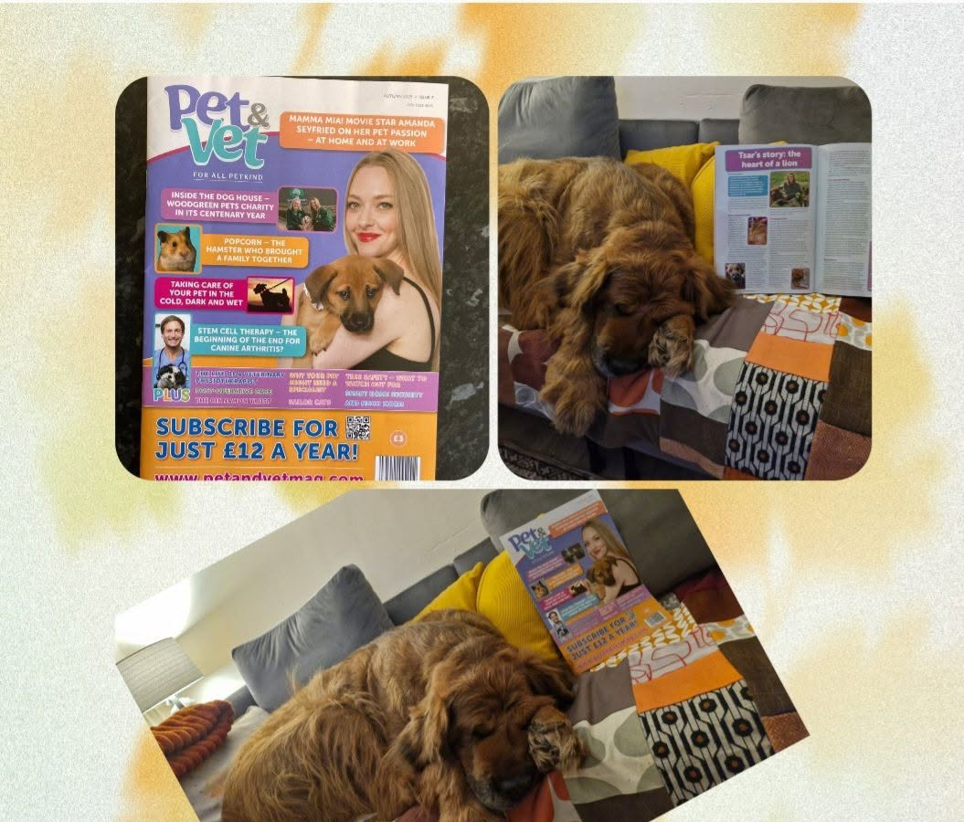 Tsar resting beside a copy of Pet and Vet magazine, which features her story